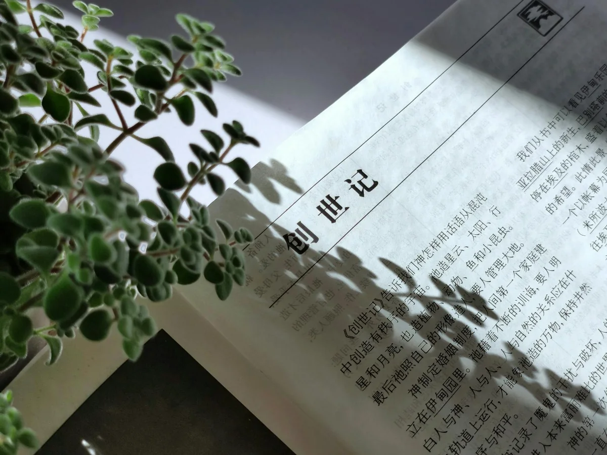 511吃瓜网处理流程各阶段对应的材料与活动形态
